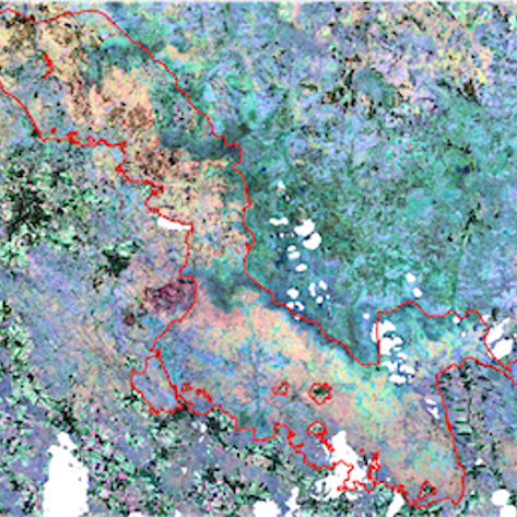 Hyperspectral and multispectral data fusion for monitoring biodiversity