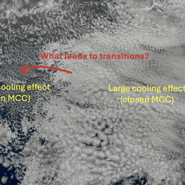 EarthCARE observations of marine stratocumulus clouds